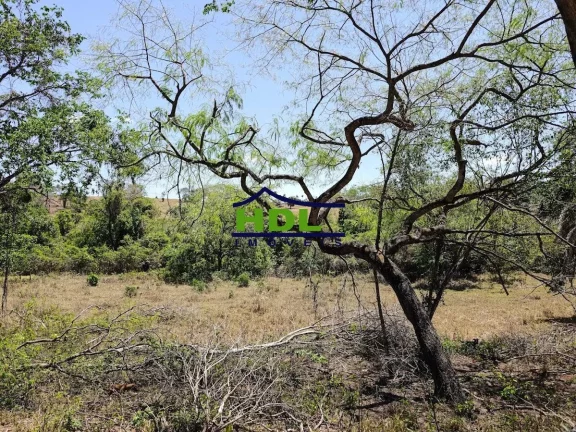 Imagem Chácara 3,1 Hectares com Córrego 90 kms de Goiânia