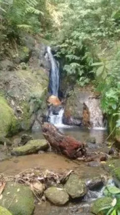 Imagem Terreno 30.000m² à Venda na Praia de Maresias - São Sebastião SP.