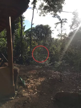 Imagem Casa estilo kitnet em terreno amplo 3000 metros na beira rio