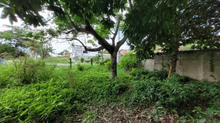 Imagem TERRENO RESIDENCIAL em SERRA - ES, ENSEADA DE JACARAÍPE