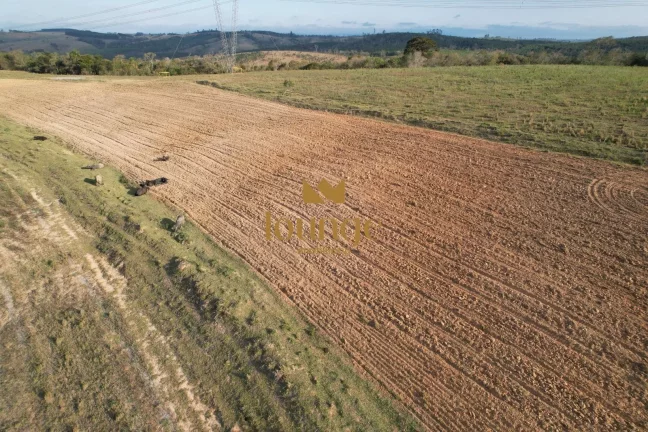 Imagem Área Industrial à venda em Centro (Cocaes) - Sarapuí/SP