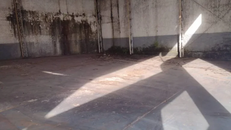 Imagem Alugo Galpão em Santo André, Vila Vilma