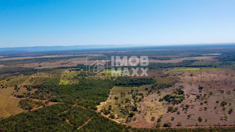 Imagem Fazenda a venda em Formosa: 281 hectares, água perene, dupla aptidão - escriturada e registrada.