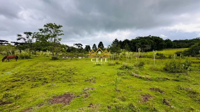Imagem Chácara - Sítio com 1 Dormitorio(s) localizado(a) no bairro Serra Grande em Três Coroas / RIO GRANDE DO SUL Ref.:1602