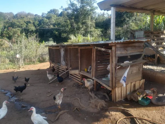 Imagem Sítio para Venda em Tuiuti, Rural, 3 dormitórios, 1 suíte, 4 banheiros, 10 vagas