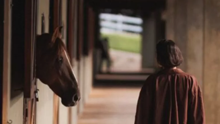 Imagem Condomínio rural com lazer completo perto de BH