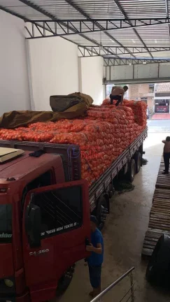 Imagem Imóveis Belém Aluga Galpão c/ câmara fria na Pedreira Imagem Imóveis Belém Aluga Galpão c/ câmara fria na Pedreira