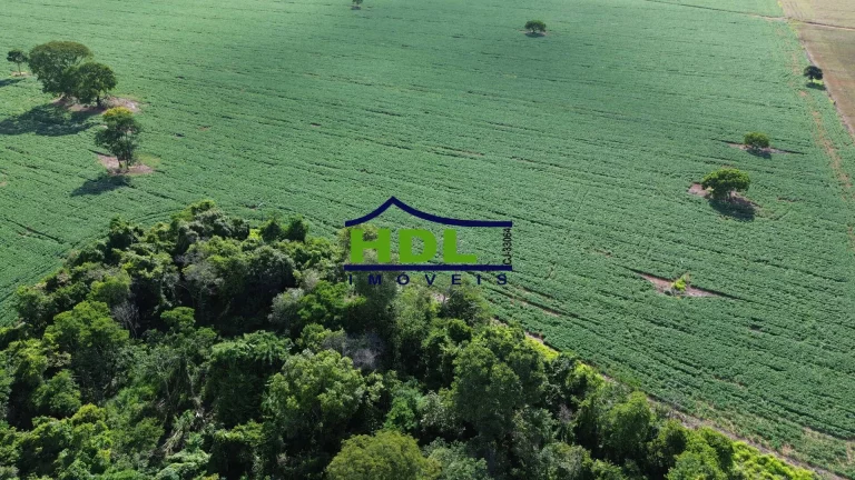 Imagem Área Comercial na BR-153 Hidrolândia GO