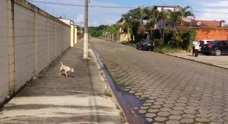 Imagem Sobrado à venda, 100 m² por R$ 270.000,00 - Cibratel II - Itanhaém/SP