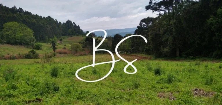 AREA RURAL em NOVA PETRÓPOLIS - RS, Centro