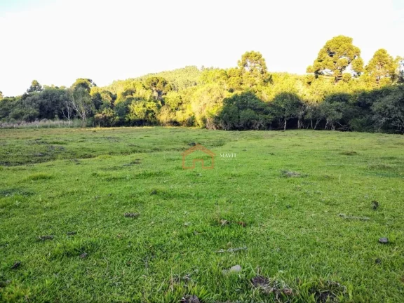 Imagem CHACARA RURAL em CAMPO BELO DO SUL - SC, Interior