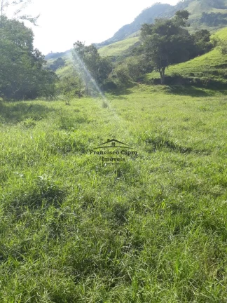 Imagem Sítio à venda no bairro Biguá - Delfim Moreira/MG