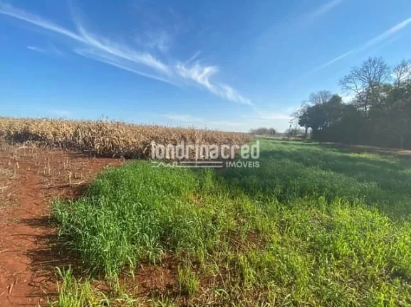 Imagem Chácara à venda Zona Rural, Serranópolis do Iguaçu - PR