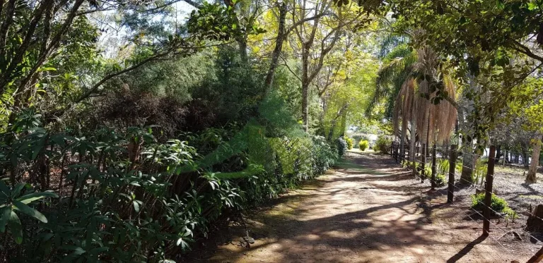Imagem Belíssima Chácara na Beira da Represa de Piracaia