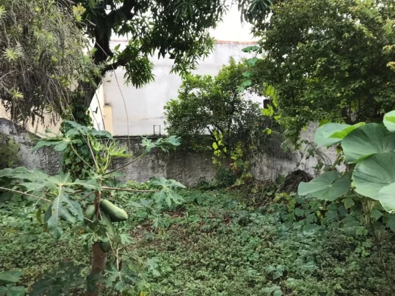 Imagem Terreno 375 m na Avenida Guacá entre Lauzane Pta e Alto do Mandaqui.