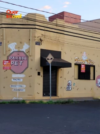 Imagem Excelente oportunidade: Imóvel comercial para locação em Ribeirão Preto-SP, bairro Campos Elíseos - 1 sala, 1 banheiro, 124 m²!
