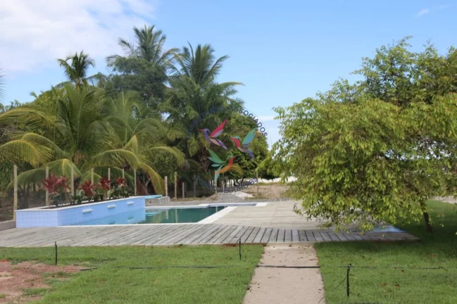 Imagem Mogi dos Pássaros - Mogiquiçaba - Belmonte - Bahia