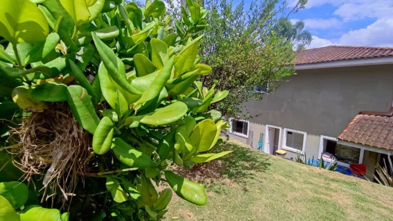 Imagem Casa 4 quartos à venda, 230 m² por R$ 1.200.000 - Chácara das Paineiras - Carapicuíba/SP
