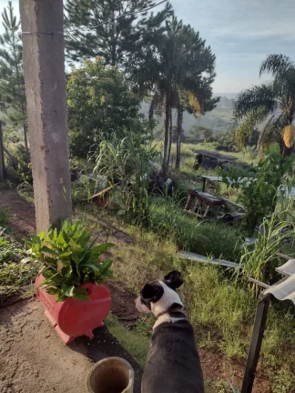 Imagem Ótima Oportunidade, venda Chácara no Bairro Soares, em Janirú / SP
