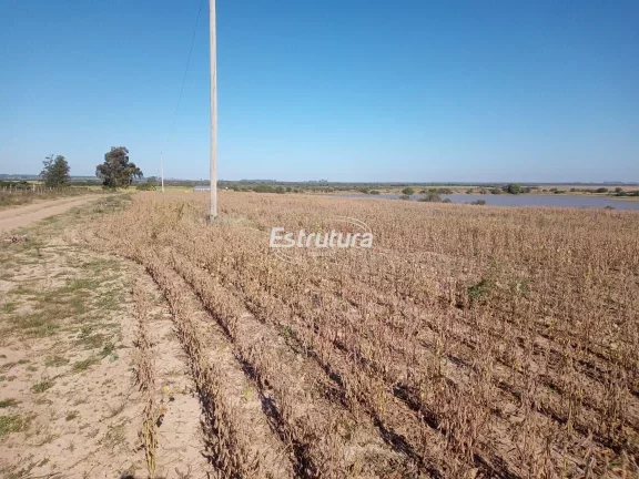 Imagem Área rural com aptidão para plantio de arroz de 190ha