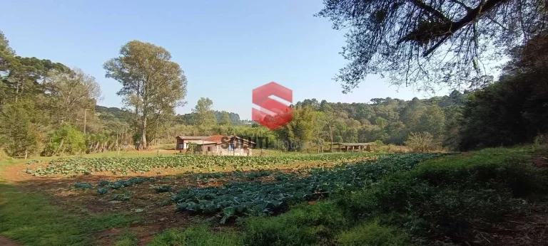 Imagem Chácara com 48.852m2 a 1Km do Alphaville Paraná em região de alto padrão