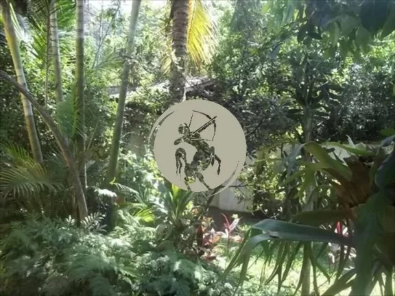 Imagem OPRTUNIDADE! LINDA COM 4 DORMITÓRIOS, SUITE, 8 VAGAS E MUITO VERDE!