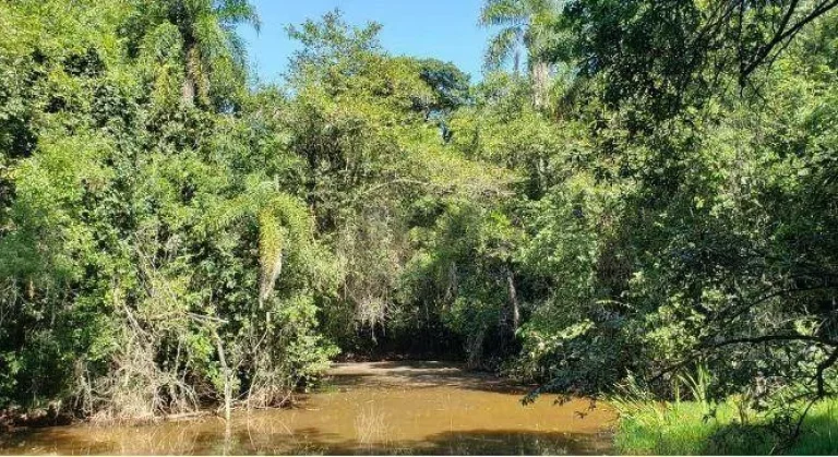 Imagem Terreno à venda, 1000 m² por R$ 650.000,00 - Condomínio Fazenda Jequitibá - Sorocaba/SP