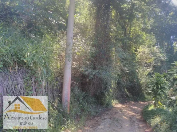 Imagem Vendo Terreno com 1950 MTs² em Boa Esperança de Lumiar