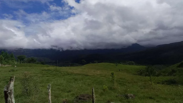 Imagem Área rural à venda em Santa Rosa de Lima/SC