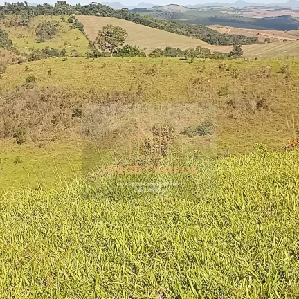 Imagem FA-24163 - FAZENDA À VENDA EM MINDURI/MG