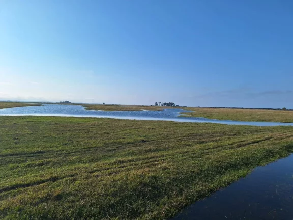 Imagem Excelente Área de 130 Hectares para Cultivo de Arroz – Viamão/RS