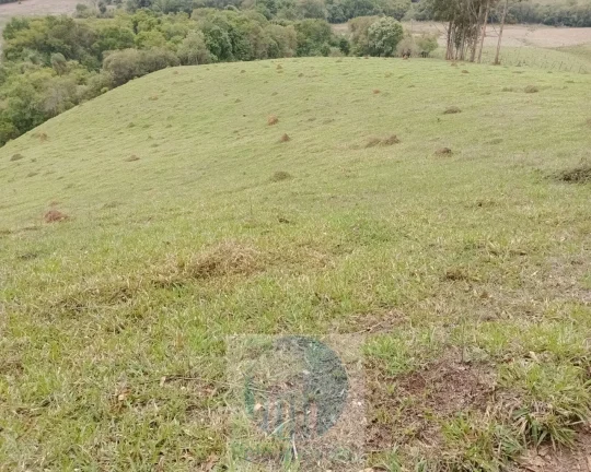 Imagem Sítio 20 ha ou 8,26 alq. a venda, para café, gado Jacui Sul de Minas Gerais