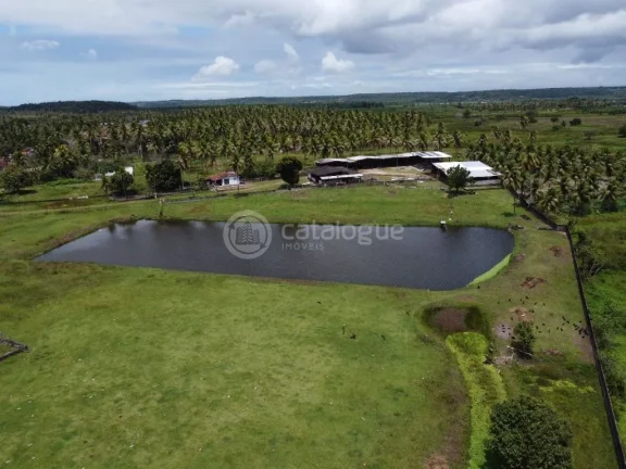 Imagem ÁREA Á VENDA EM NISIA FLORESTA