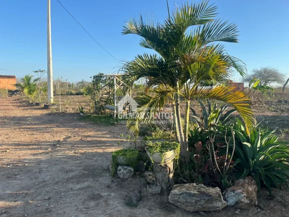 Imagem Fazenda/Sítios/Chácaras no bairro zona rural, em Coronel João Sá
