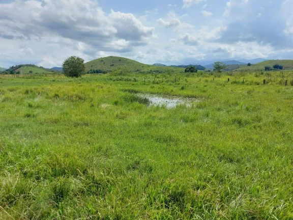 Imagem VENDO FAZENDA COM 30 ALQUEIRES EM SILVA JARDIM, AGUA POR GRAVIDADE