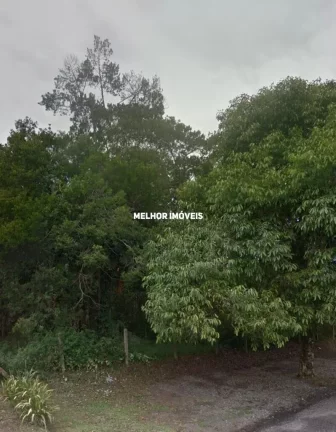 Imagem Terreno com 329.55m² à venda na Praia do Estaleiro- Balneário Camboriú-SC
