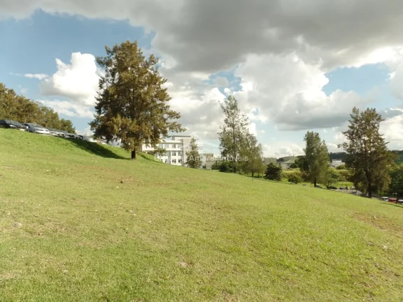 Imagem Terreno a venda no Centro Comercial Alphaville Campinas em Campinas. 

Estuda Permuta e Parcelamento...