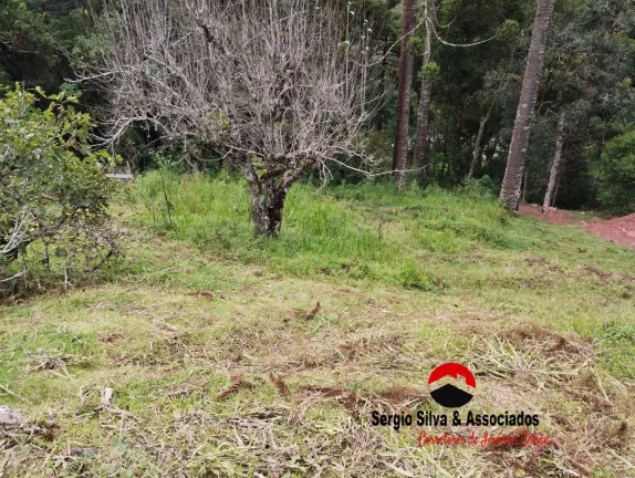 Imagem Terreno a Venda na Região da Vila Natal em Campos do Jordão -sp.