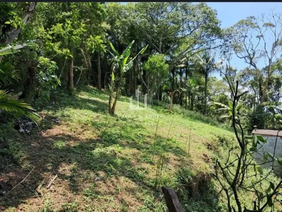 Imagem Chácara 1.600m², Escritura, 3 Quartos, sendo 2 Suítes, Vários pé frutas, no Rio Grande da Serra-SP