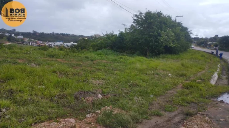 Terreno Padrão