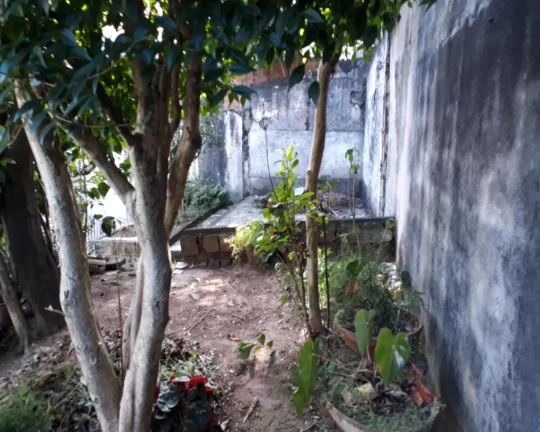 Imagem * CASA TÉRREA NO BUTANTÃ C/ 275 M² DE TERRENO, 3 DORMS; 2 VAGAS.