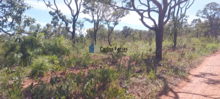 Imagem Chácara para Venda em Brasília, Setor Habitacional Jardim Botânico