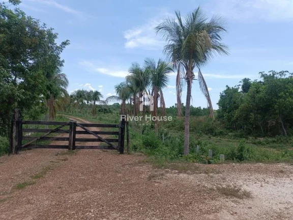 Imagem Encantadora Fazenda à Venda na Zona Rural de Nossa Senhora do Livramento