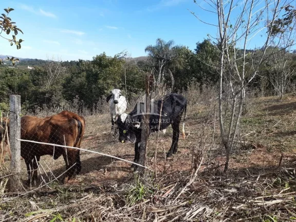 Imagem Terreno de 4.357 m² Só fazer pequena Terraplanagem Para Construir sua Casa em Socorro-SP