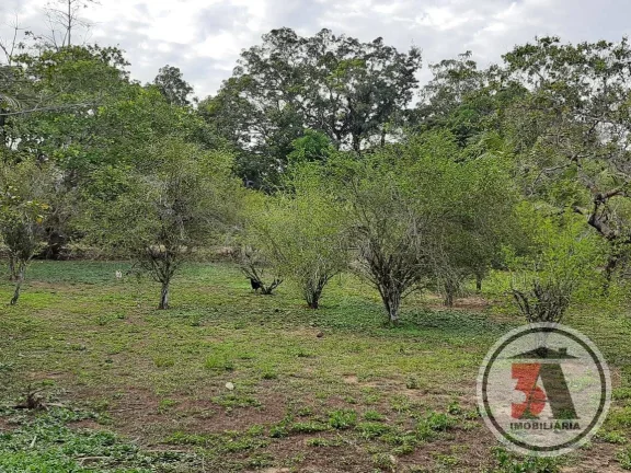 Imagem Sitio Estrada Belmont - 20.43 hectares