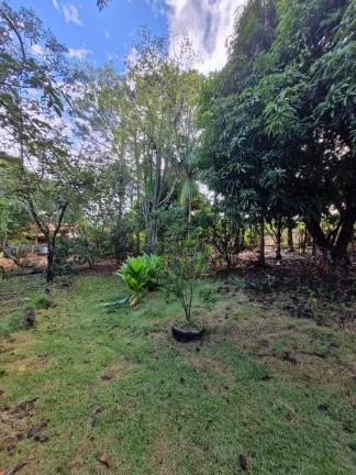 Imagem CHÁCARA COM POMAR LOCALIZADA NA CHÁCARAS REUNIDAS - PILAR DO SUL