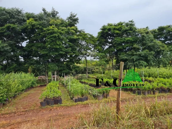 Imagem Área para Venda em Limeira, BAIRRO PARRONCHI
