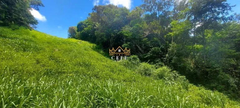 Imagem Chácara - Sítio com 2 Dormitorio(s) localizado(a) no bairro Carapina em São Francisco de Paula / RIO GRANDE DO SUL Ref.:1537