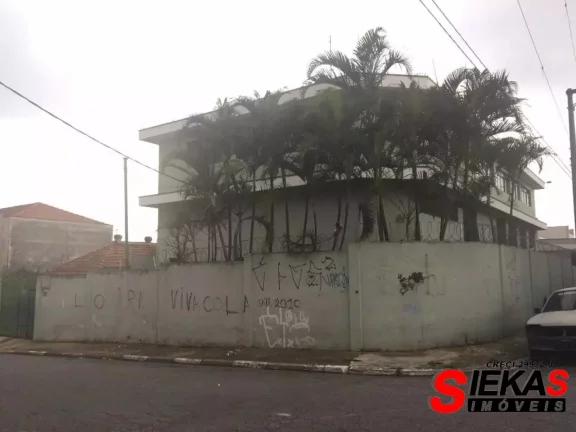 Imagem Galpão Comercial de 800m² na Vila Nova York, São Paulo-SP: Oportunidade de Investimento!