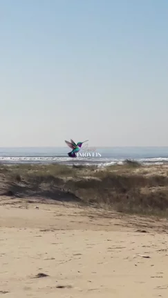 Imagem Terreno à venda no bairro Balneario Bellatorres - Passo de Torres/SC